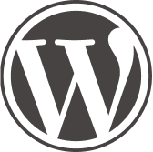 expert-wordpress-gadiros-consulting-bruxelles-belgique